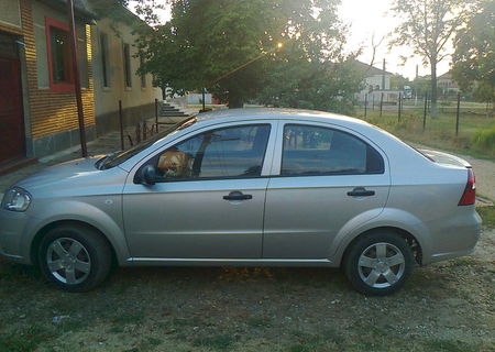 chevrolet aveo