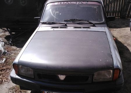 Dacia 1310