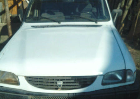 Dacia papuc an 1999