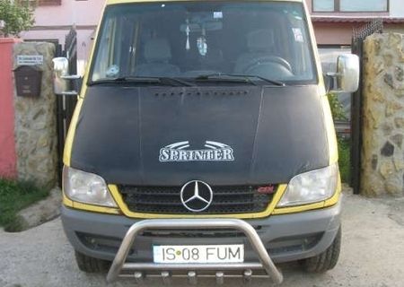 Mercedes Sprinter 313 