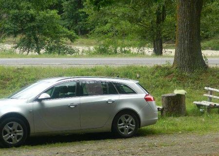 opel insignia inmatriculata