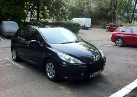 Peugeot 307 - 1,6 benzina