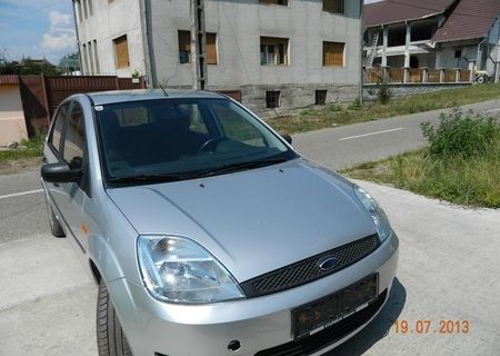 Vand Ford Fiesta 2004