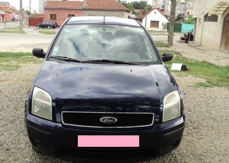 Vand Ford Fusion 2003 Euro 4