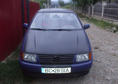 vand polo 6n