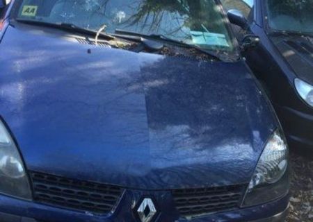 Vand Renault  clio  