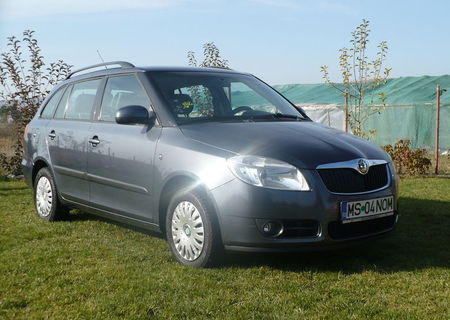 Vand Skoda Fabia II