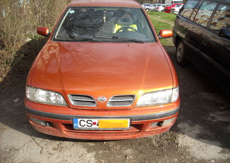 vind nissan primera sau schimb