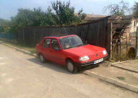 vind PEUGEOT 309