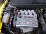 alfa147 superba, photo 3