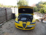 alfa147 superba, photo 5