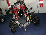 buggy 500cc, photo 1