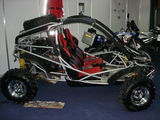 buggy 500cc, photo 2