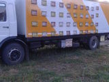 Camion apicol ., photo 2