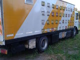 Camion apicol ., photo 4