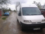 citroen  jumper, photo 2