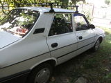 Dacia 1310 L