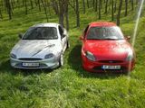 ford puma 1.4 16v Z-tec, fotografie 4