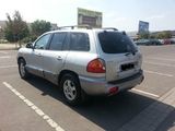 Hyundai Santa Fe 2004, fotografie 3