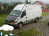 iveco daili