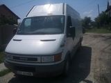 iveco daily 35s13, photo 4