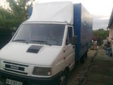 IVECO  DAYLI  4912     CEL MAI MARE DIN GAMA