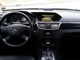 MERCEDES BENZ AVANTGARDE E250 Cdi BlueEFFICIENCY, fotografie 5