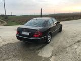 Mercedes-Benz E 270 CDI, photo 4