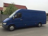 Mercedes-benz sprinter 312 maxim lung, photo 2