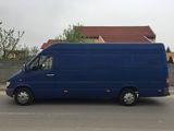 Mercedes-benz sprinter 312 maxim lung, photo 4