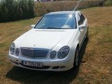 Merecedes Benz W211 E 400 CDI, fotografie 2