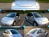 New beetle en vogue