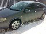 nissan primera 2002, photo 2