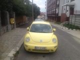 schimb Beetle