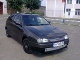 Seat-Ibiza