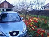 Seat toledo, photo 2