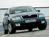 skoda octavia1.9tdi, fotografie 2