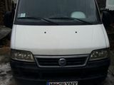 Vand Fiat Ducato 11 sau schimb cu un tractor cu brat frontal