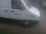 vand iveco daily, photo 2