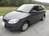 Vand/Schimb SKODA Fabia II AF 2008