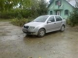 Vand Skoda Fabia