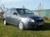 Vand Skoda Fabia II, photo 1