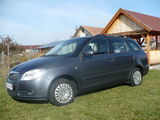 Vand Skoda Fabia II, photo 2