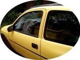 vand urgent, photo 4