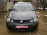 Vand VW Polo, photo 4