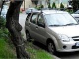 VANZARE SUZUKI IGNIS, fotografie 5